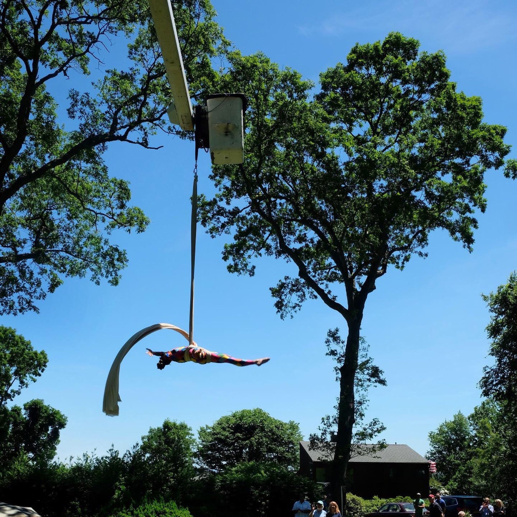 Woman doing aerial acrobatics with white fabric, hanging from a tree trimming bucket truck.