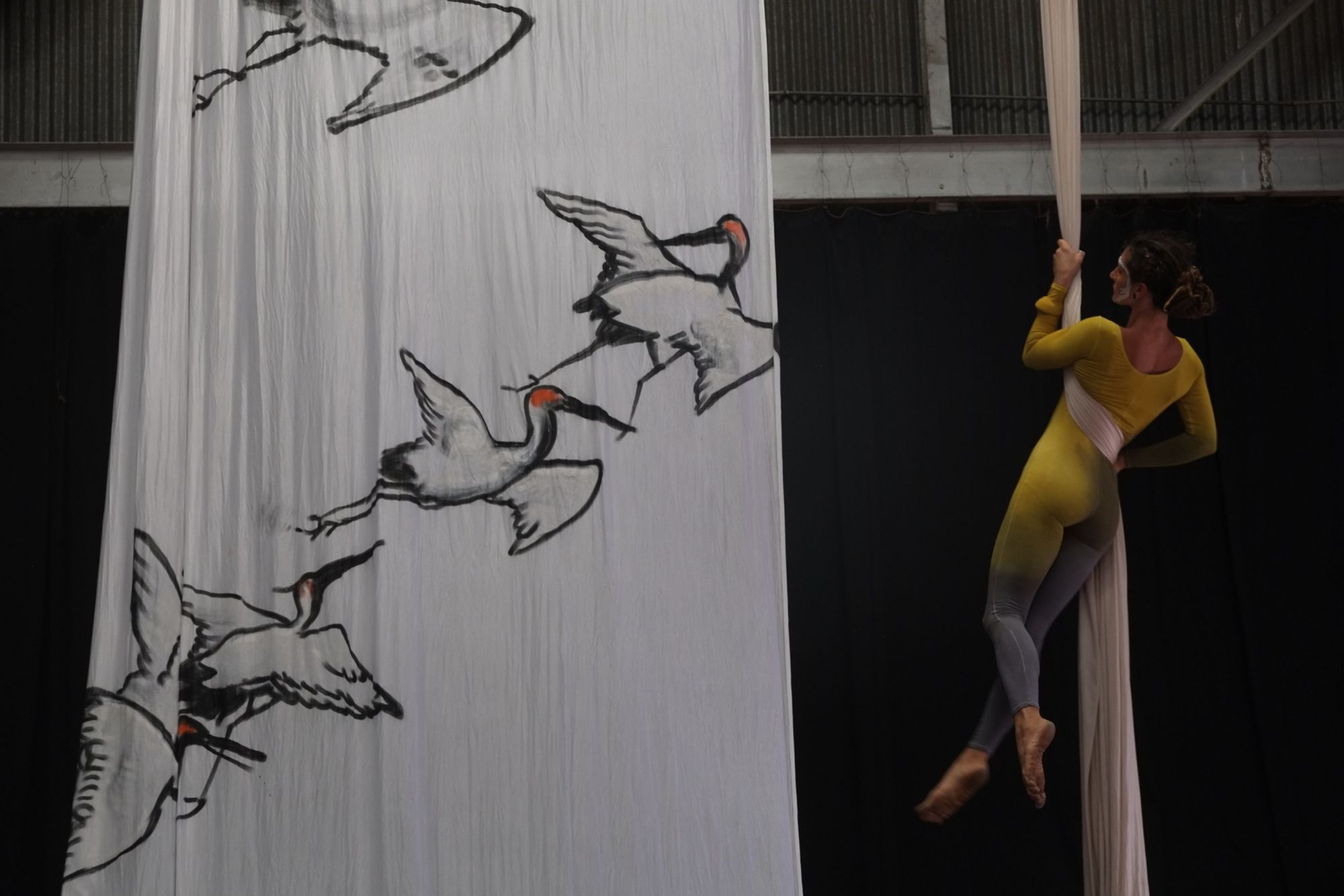 Woman doing aerial acrobatics on white fabric with painted banner with cranes on it. 