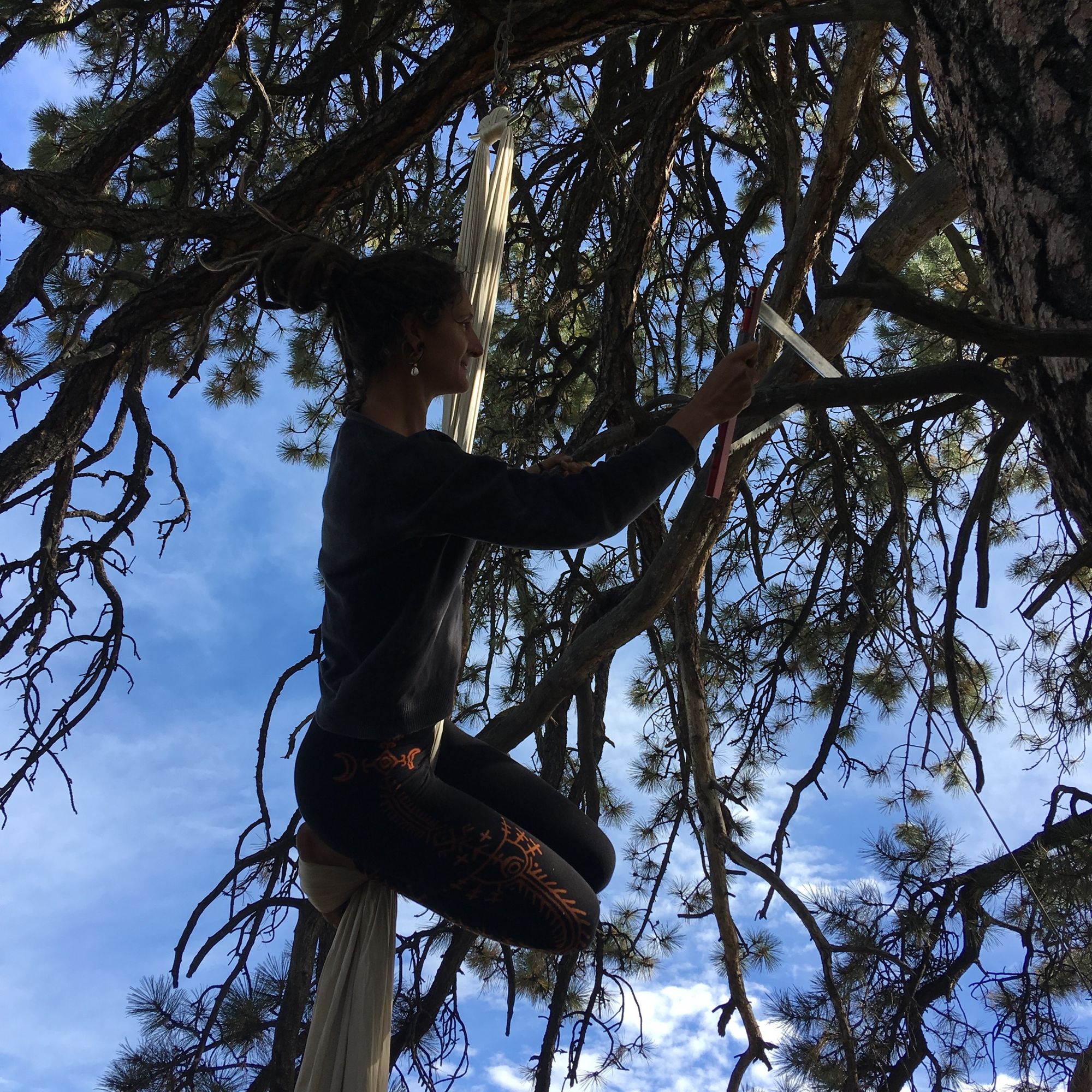 Woman wearing a black unitard climbing a tree