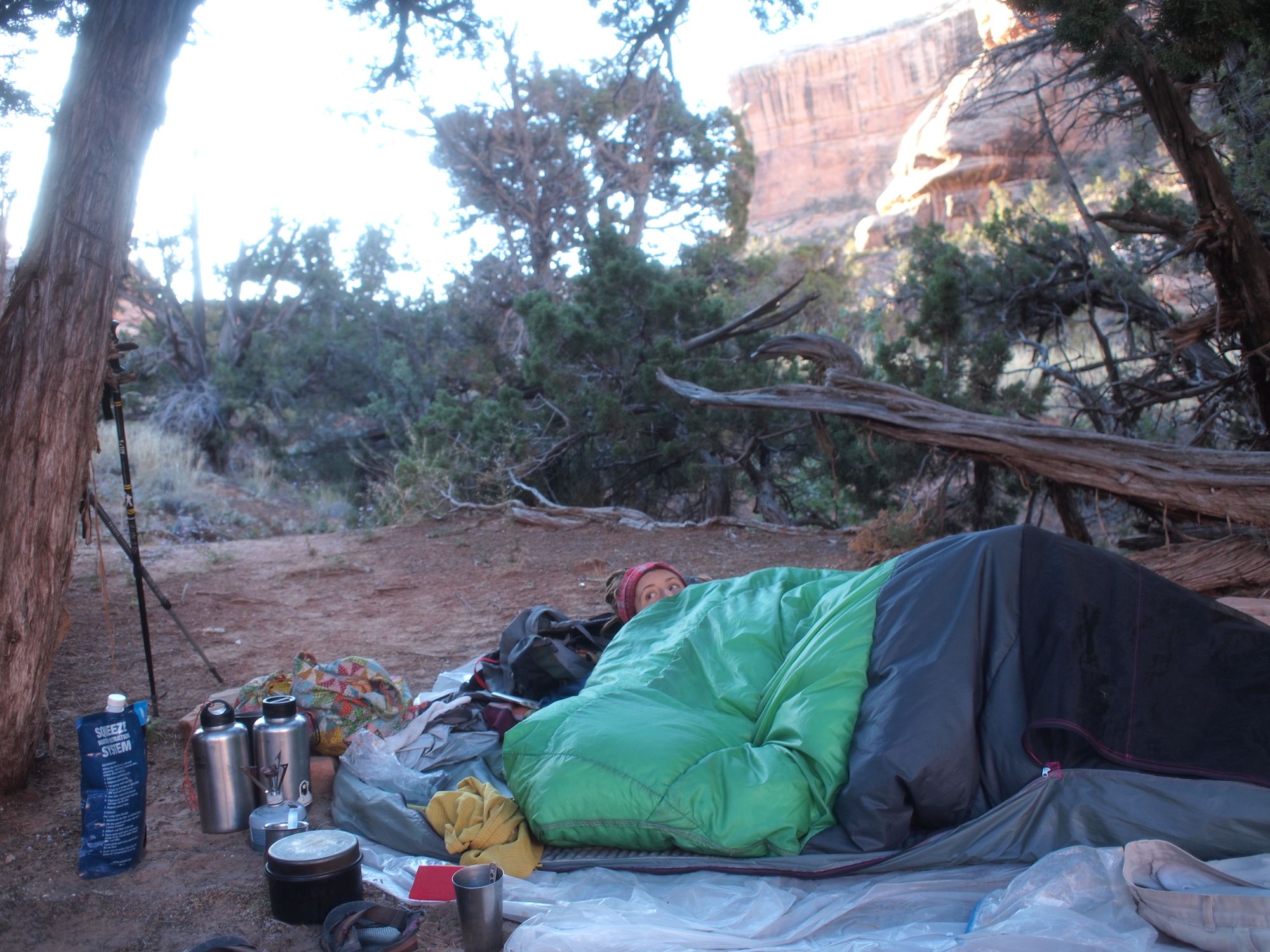 Woman peeking out from under a green and black sleeping bag, sleeping under a tree in the desert