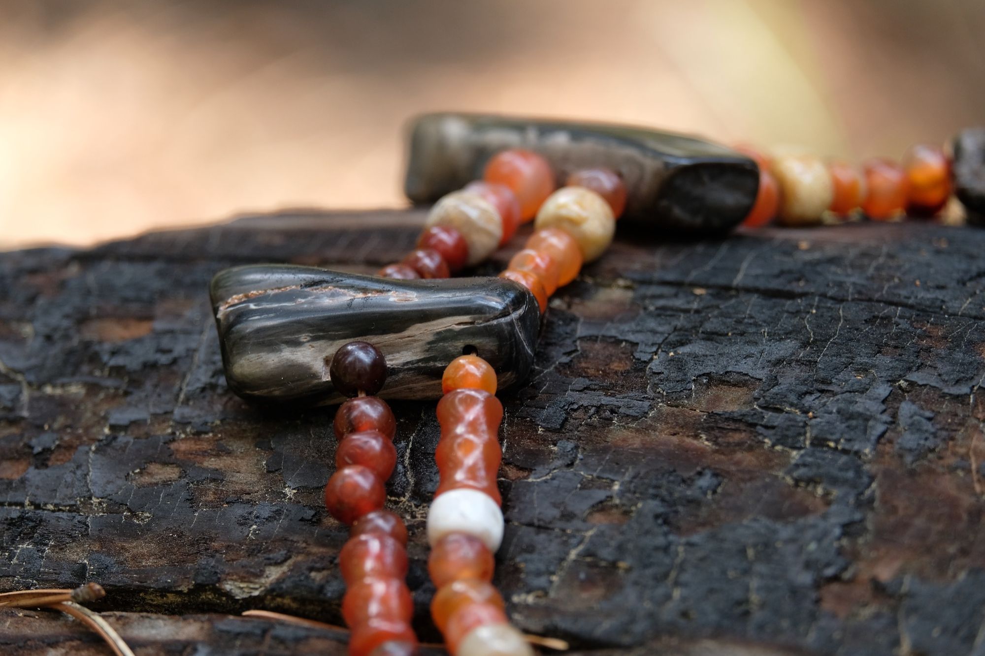 Detail of dark petrified wood, tan fossilized coral and red orange carnelian necklace on a burned log