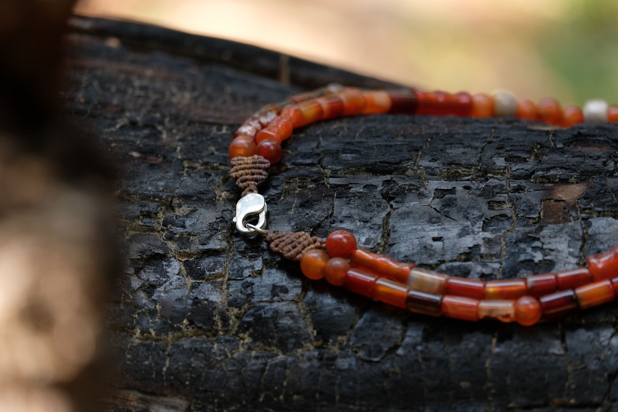 Detail of dark petrified wood, tan fossilized coral and red orange carnelian necklace on a burned log