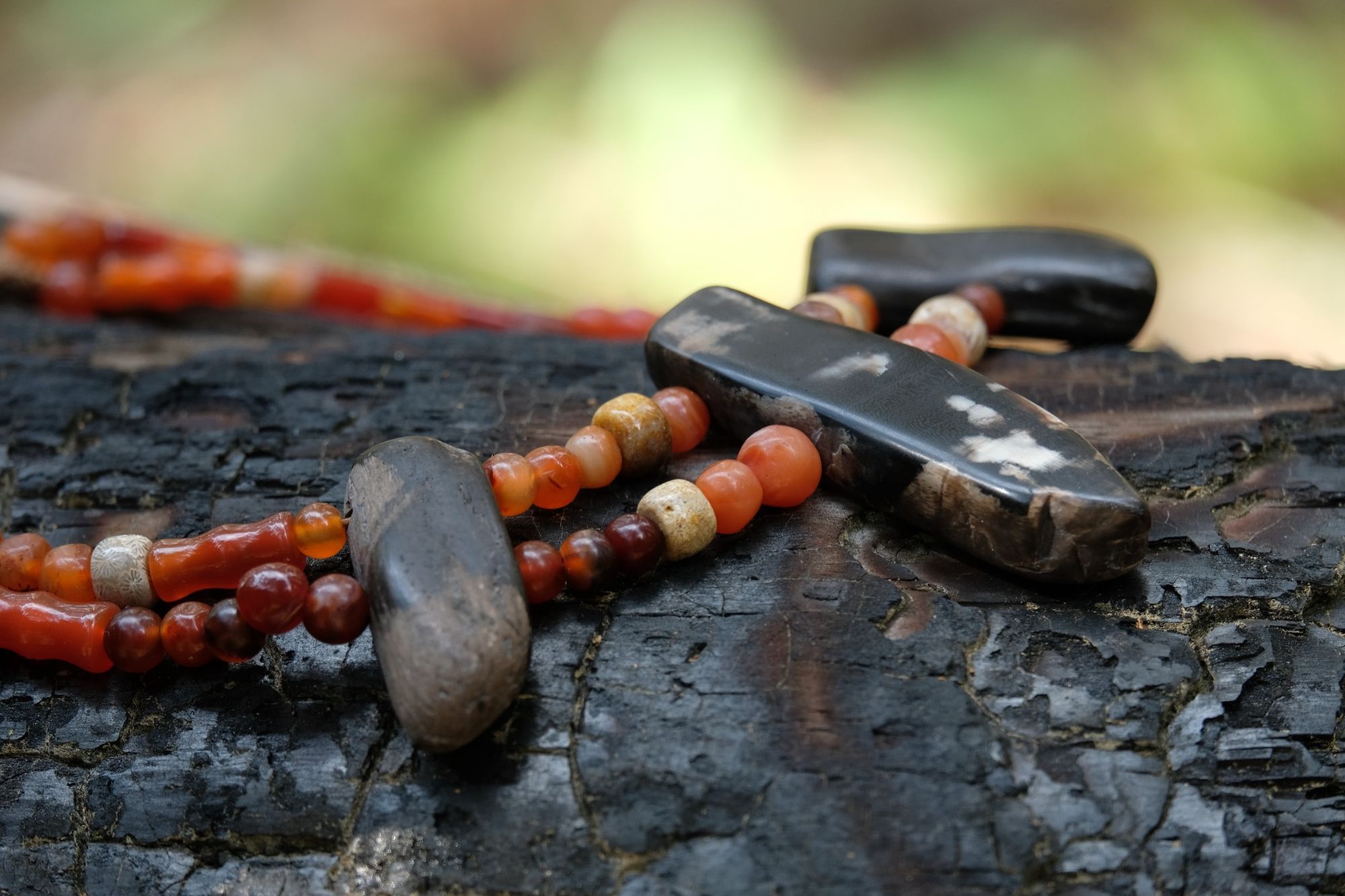 Detail of dark petrified wood, tan fossilized coral and red orange carnelian necklace on a burned log