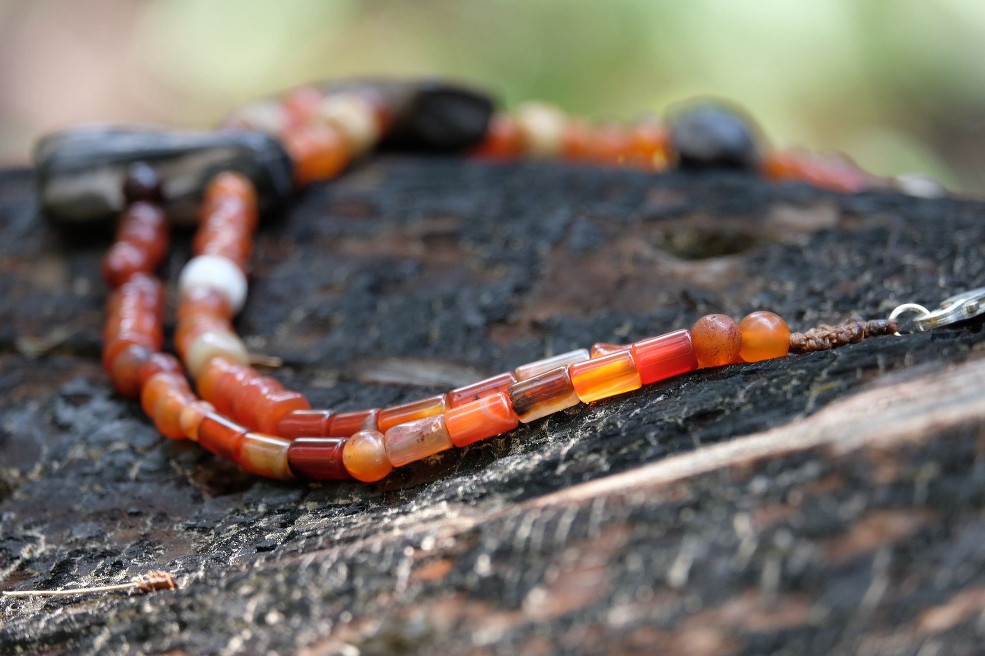 Detail of dark petrified wood, tan fossilized coral and red orange carnelian necklace on a burned log