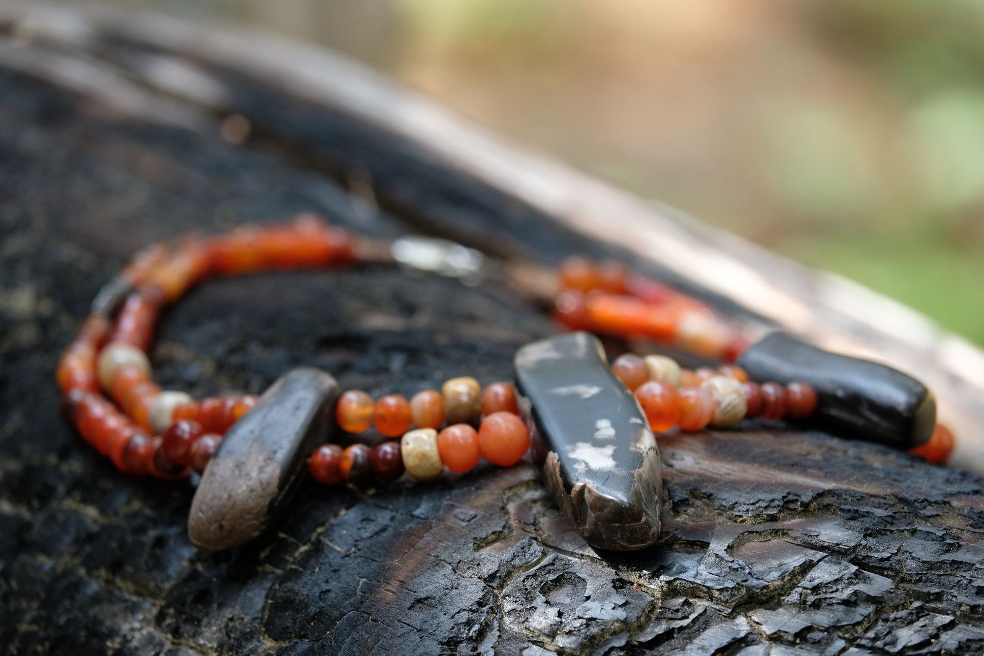 Detail of dark petrified wood, tan fossilized coral and red orange carnelian necklace on a burned log