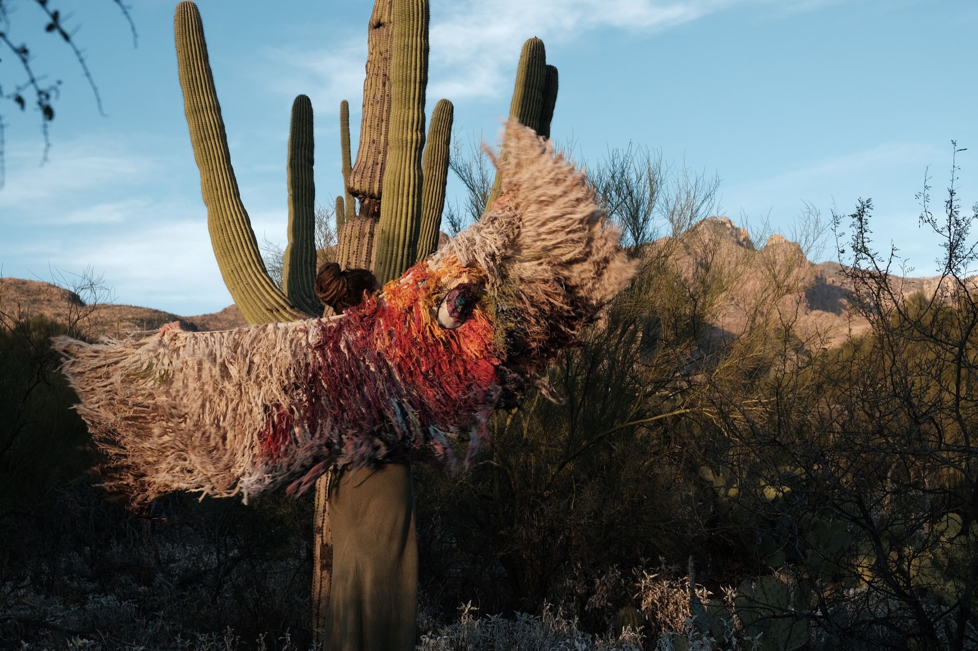 Woman wearing a rainbow, white and brown colored shawl, completely covered in fringe in the desert with cactus and mountains