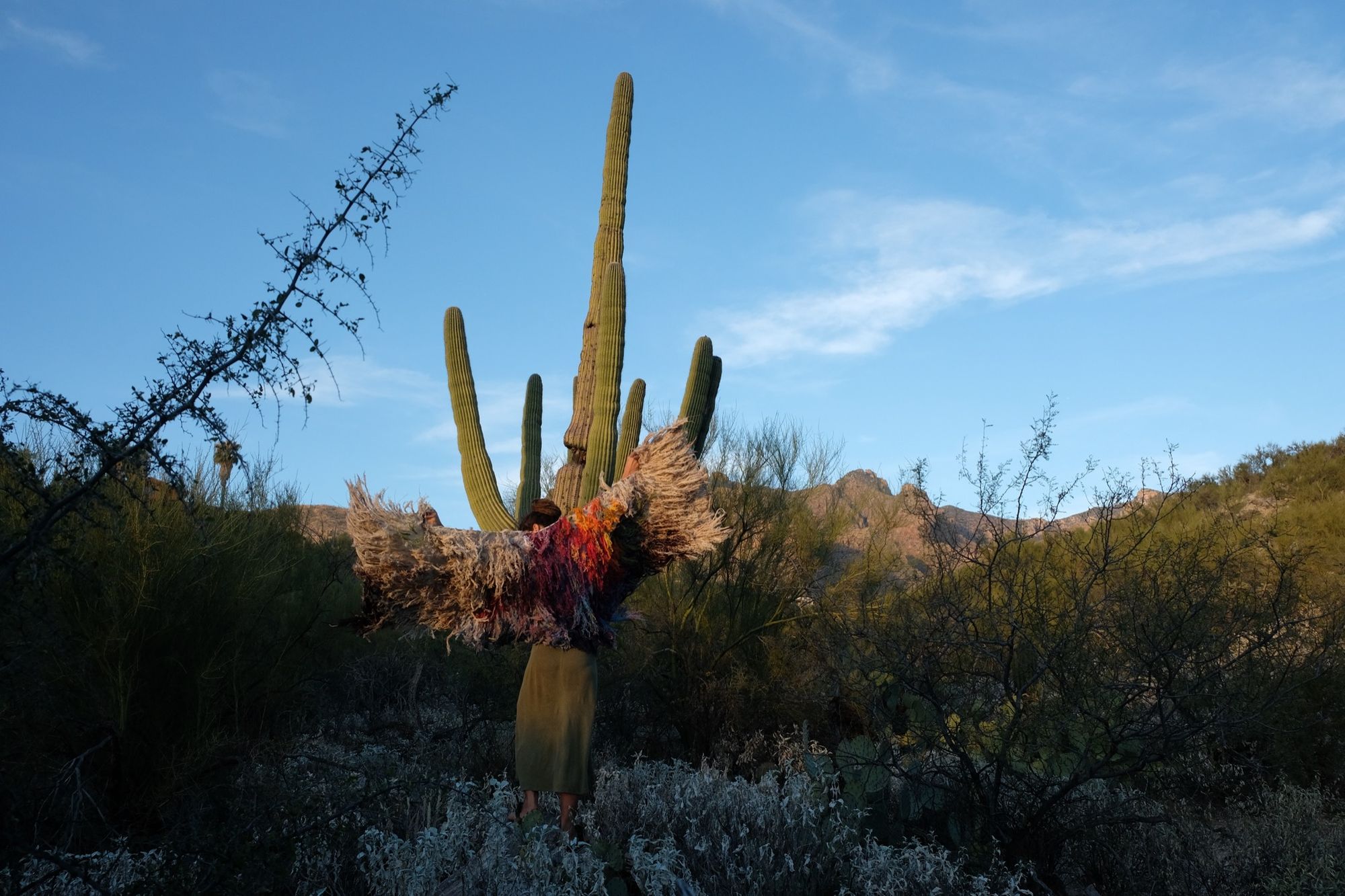 Woman wearing a rainbow, white and brown colored shawl, completely covered in fringe in the desert with cactus and mountains