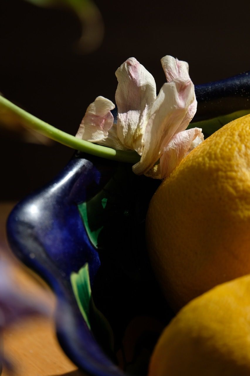 A photograph of wilting punk and purple tulips with dramatic light and a black background And a blue ceramic bowl with yellow grapefruit 