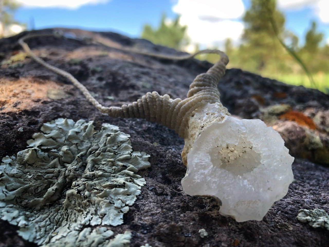 A small white geode and white knotwork string necklace rests on a lichen covered Boulder