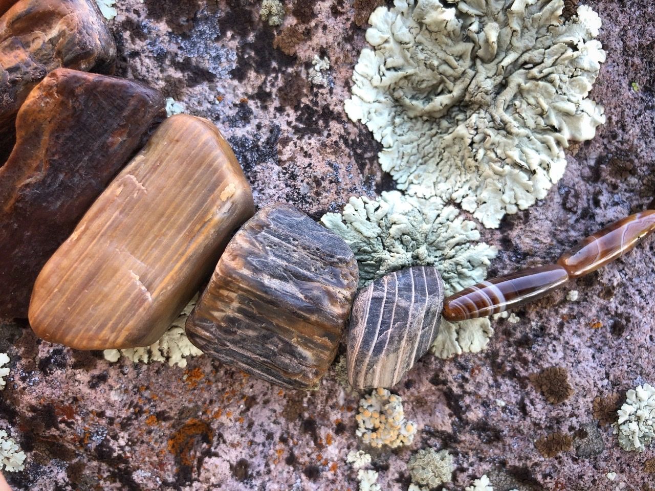 A petrified wood and brown banded agate necklace rests on a lichen covered Boulder