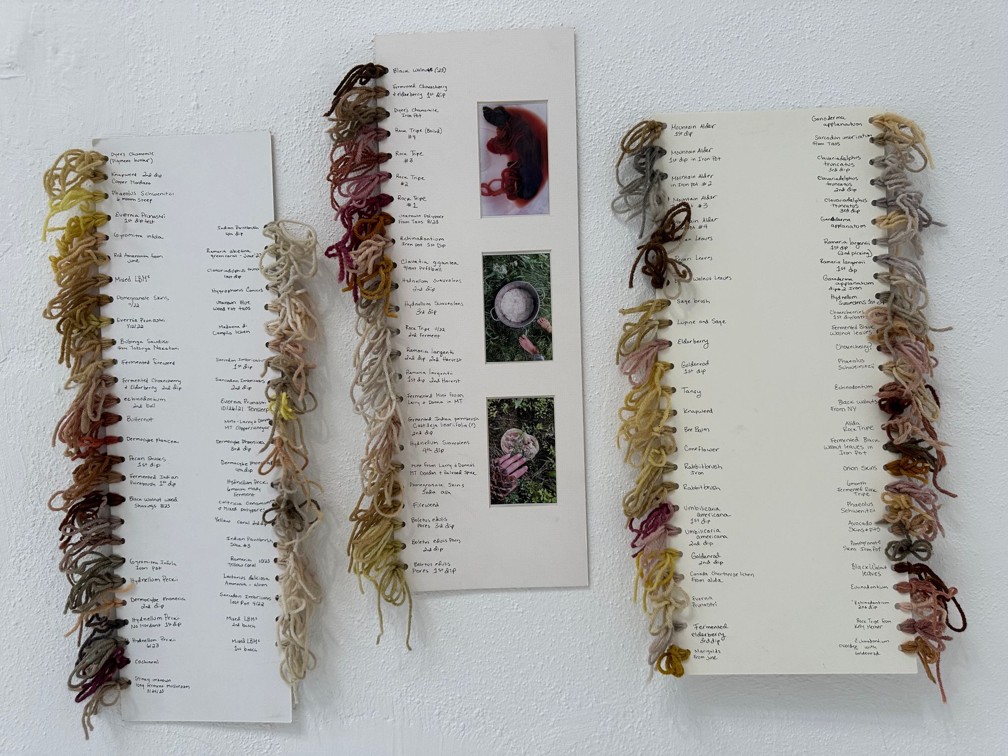 Three dye charts on a white wall, the edges of the paper have little loops of thread each one of them naturally dyed, next to the thread is written the name of the plant or fungi the dye came from