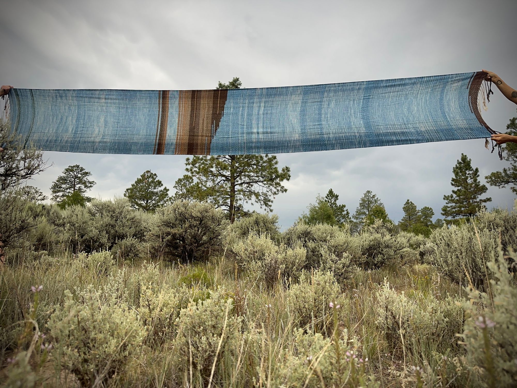 a 4.6 meter piece of handwoven fabric that is indigo blue and deep walnut dyed brown is held up in a high mountain landscape with sage and ponderosa trees