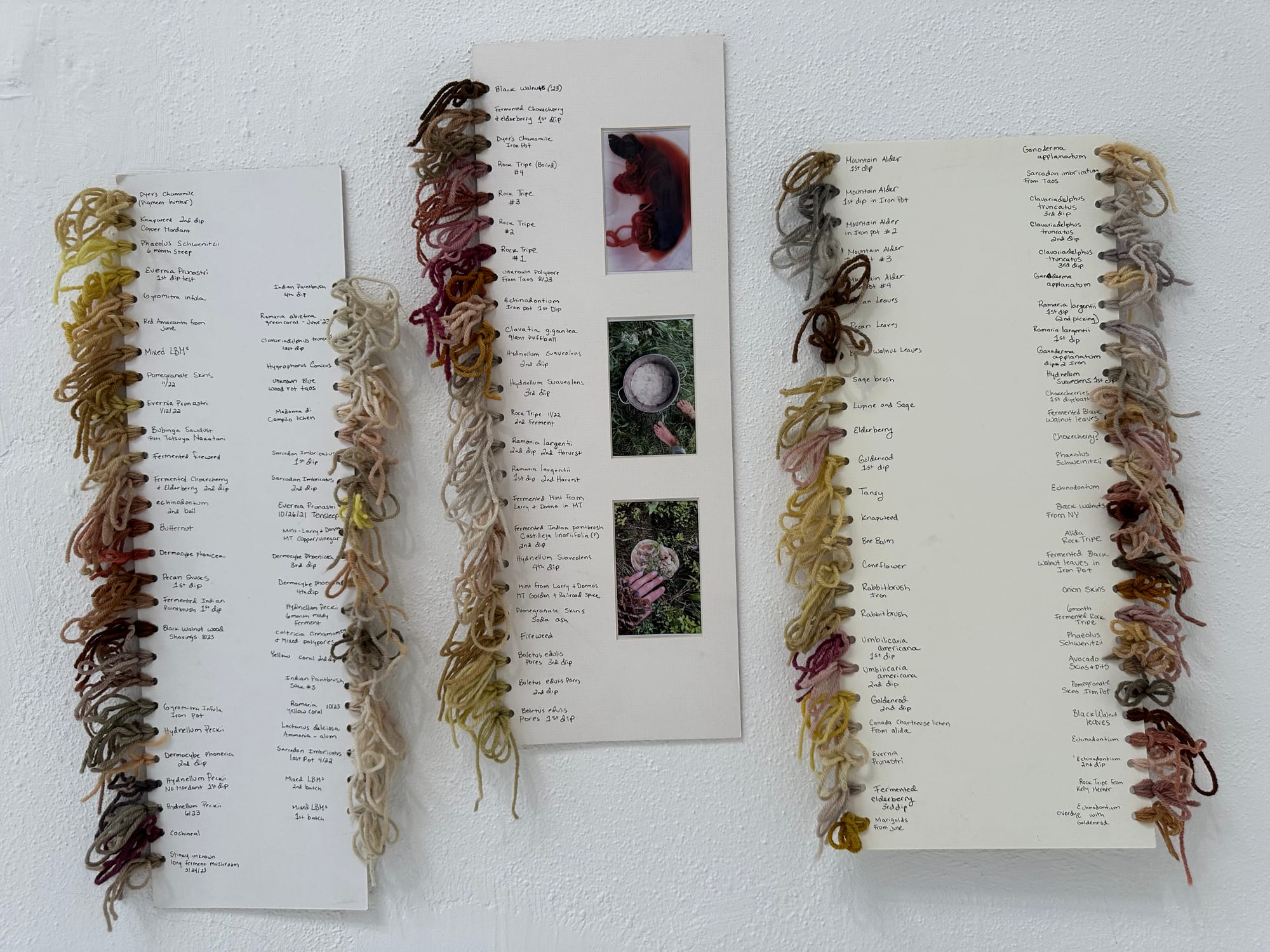 Three strips of paper are edged with knots of 139 different colors of naturally dyed pieces of yarn. Each yarn is labled with the material it was dyed with. plant, fungi or insect