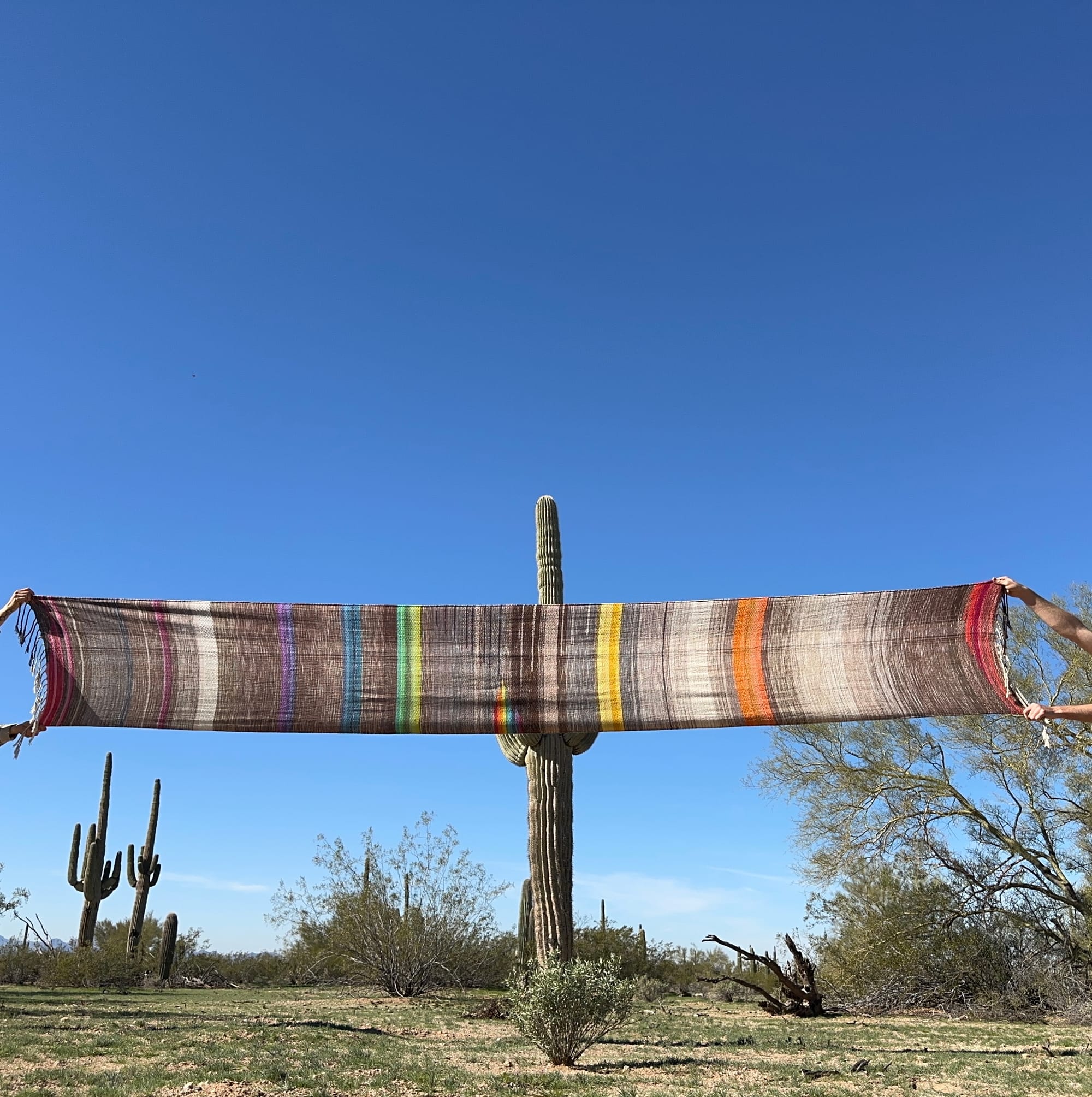 A long piece of handwoven fabric in brown, gray and white earth tones, along with each color of the rainbow, is stretched out in front of a desert landscape with saguaro cactuses