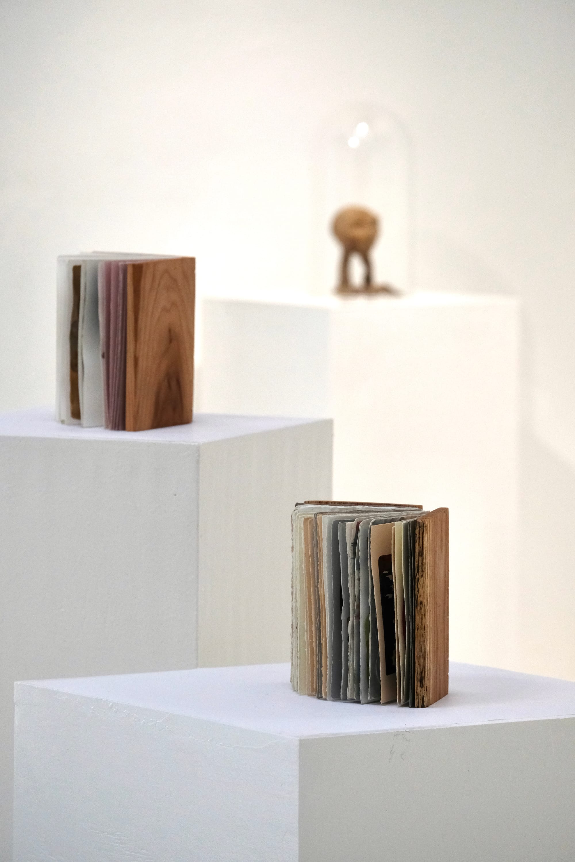 two hand bound books with leather covers rest on white pedestals in a gallery setting