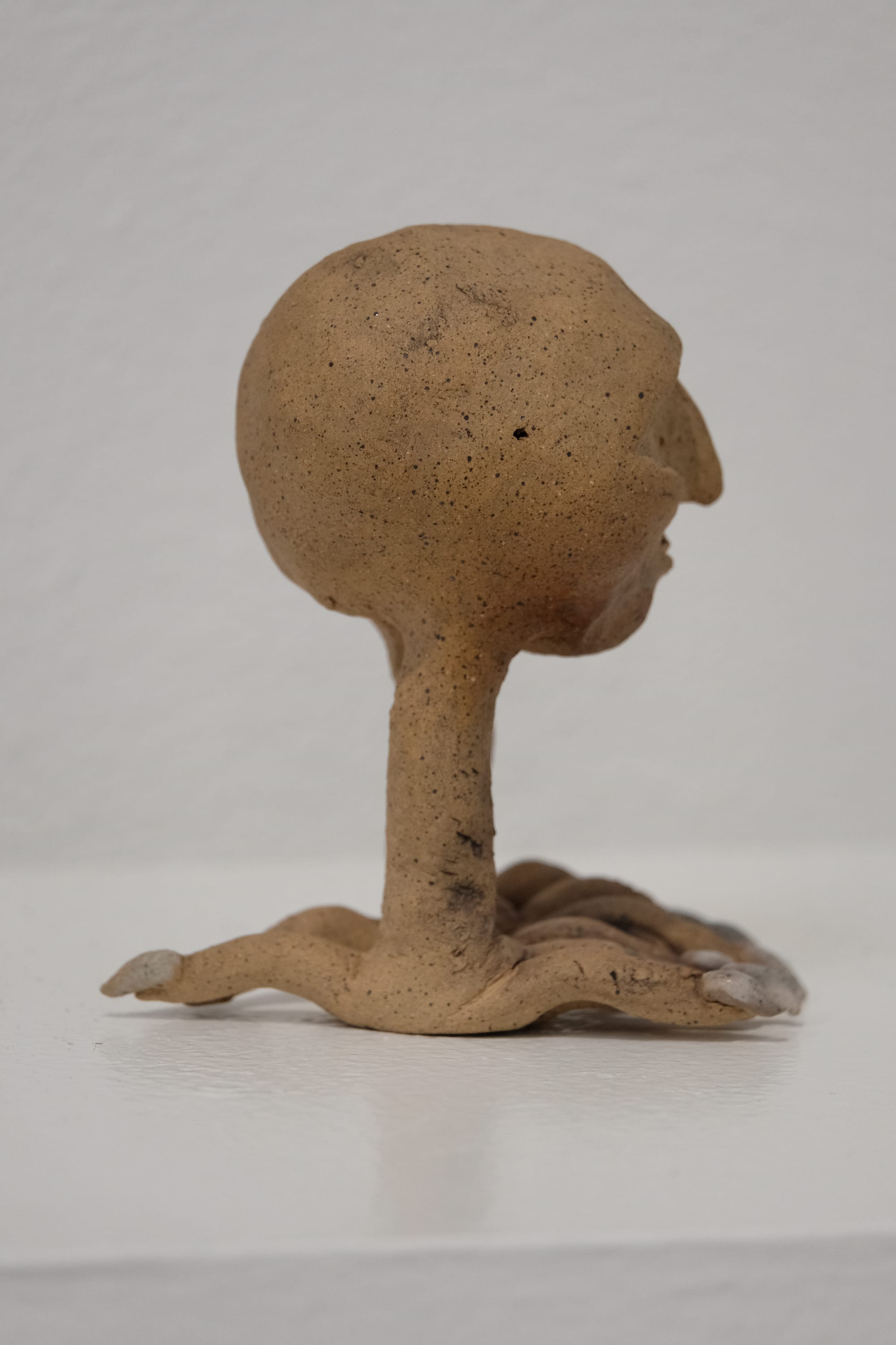 A small clay sculpture of a human head with raven legs. The clay is tan with dark speckles, the toenails of the creature are painted white