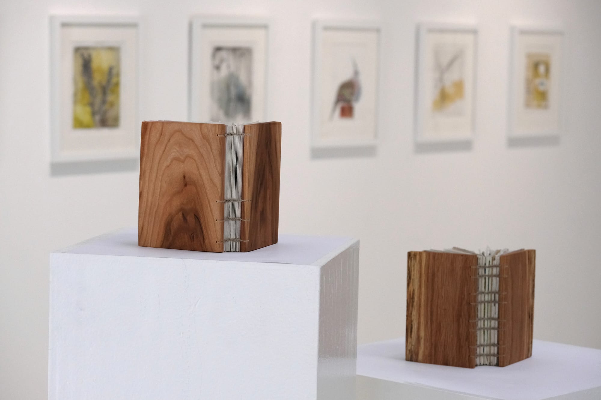 two hand bound books with leather covers rest on white pedestals in a gallery setting