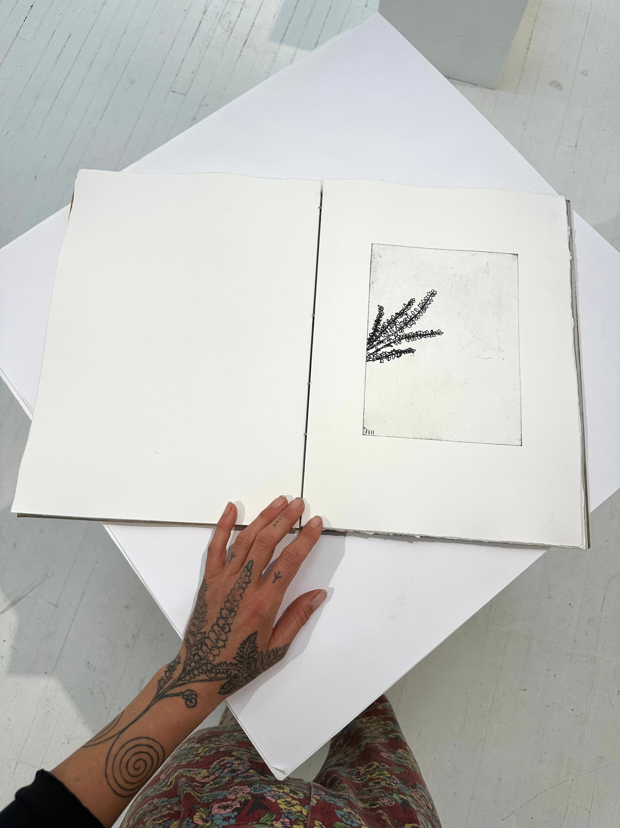 A large book of black and white etchings of botanical specimens is opened with a tattooed hand