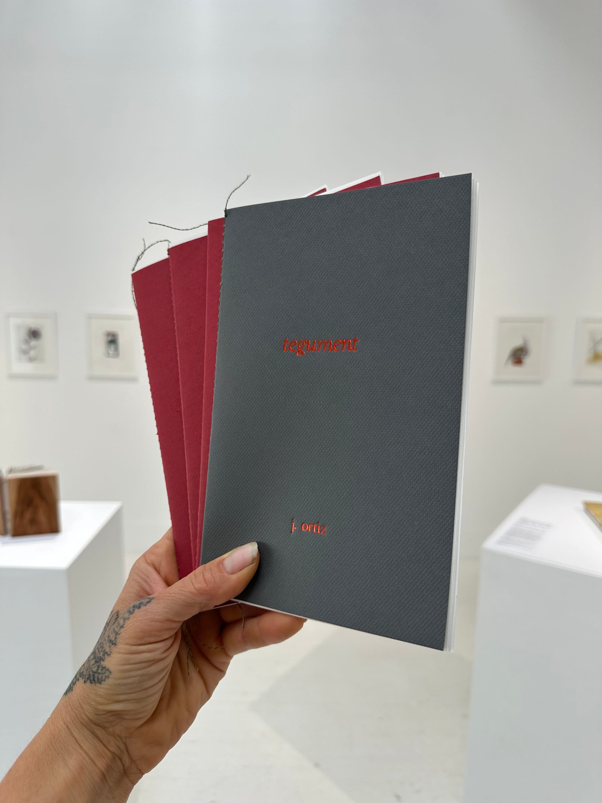 the left hand of a person holds four small handmade books, three are red, one is grey. The title, Tegument, is foil stamped in metallic red on the cover