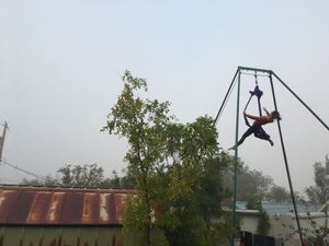 Woman doing aerial acrobatics with purple fabric near some trees, with a misty sky