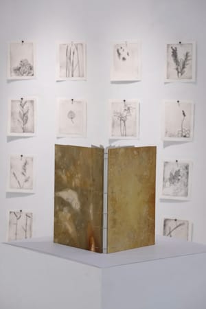 What Are the Colors of the Place You Love Most in This World?