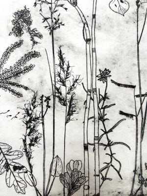 What Are the Colors of the Place You Love Most in This World?